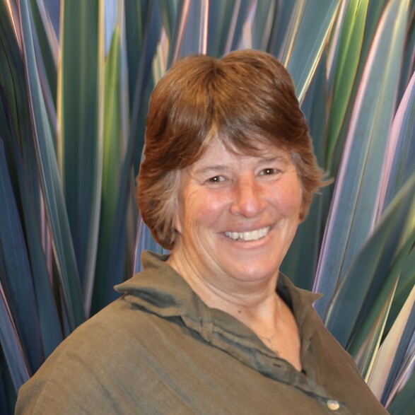 Jo Crosse_Flax Background